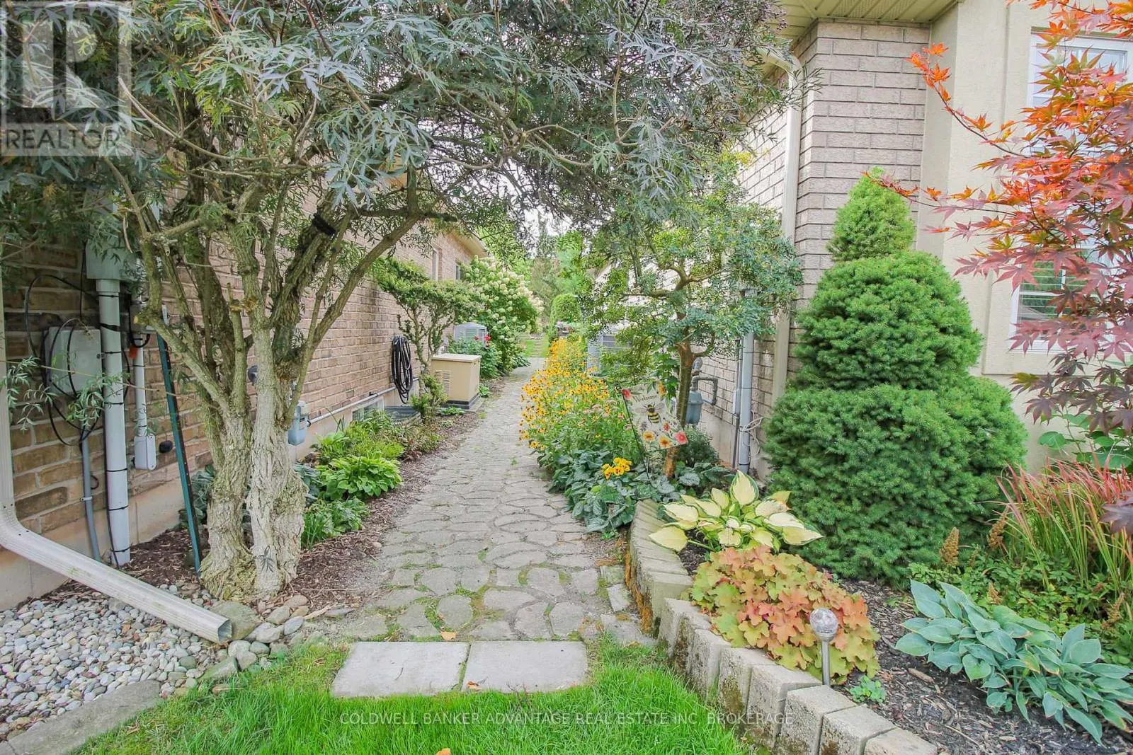 3935 LOWER COACH ROAD