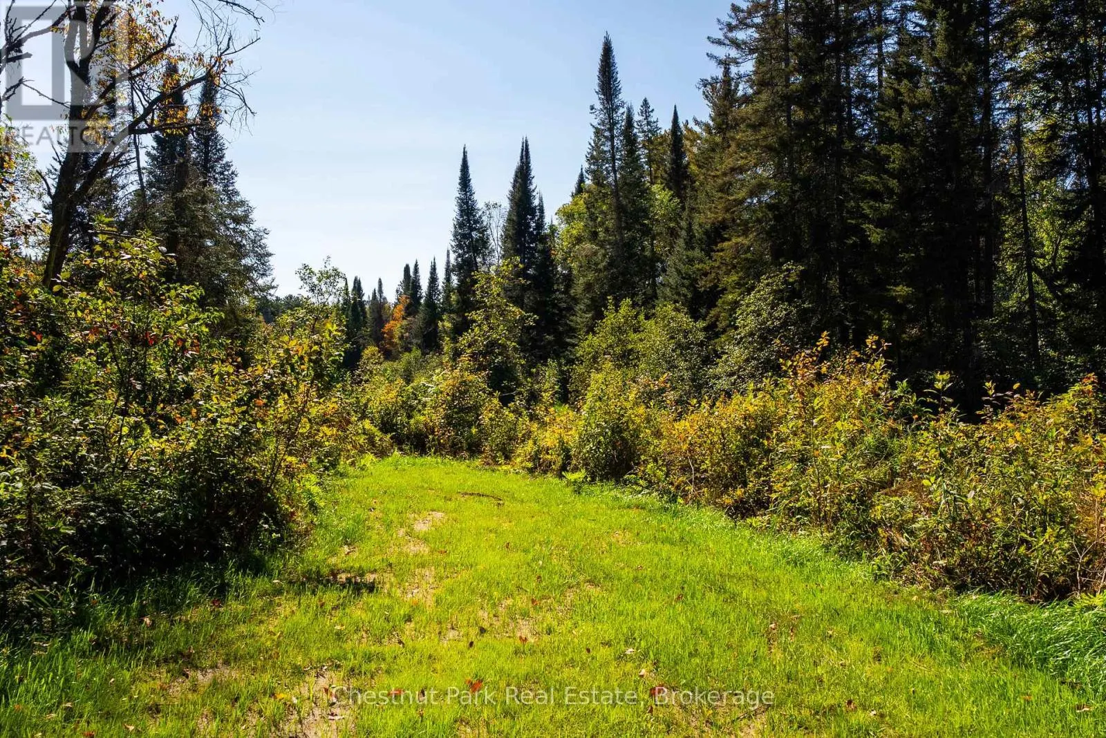 00 DEER LAKE ROAD