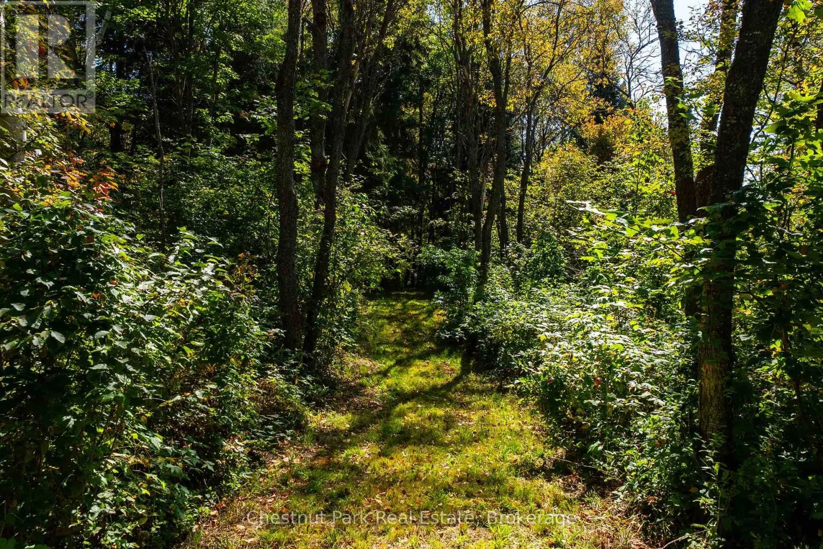 00 DEER LAKE ROAD