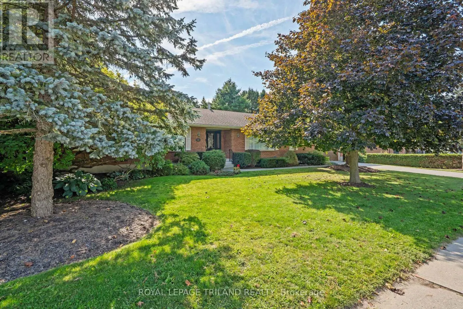 9380 PLANK ROAD N
