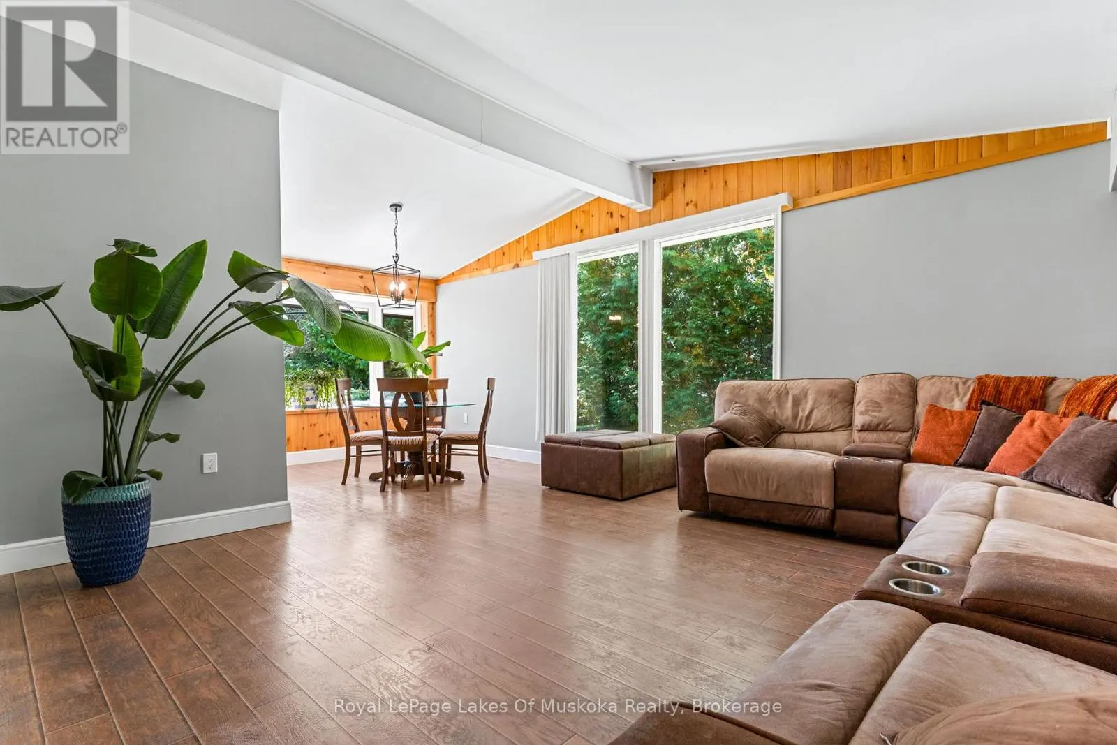 50 BROFOCO DRIVE