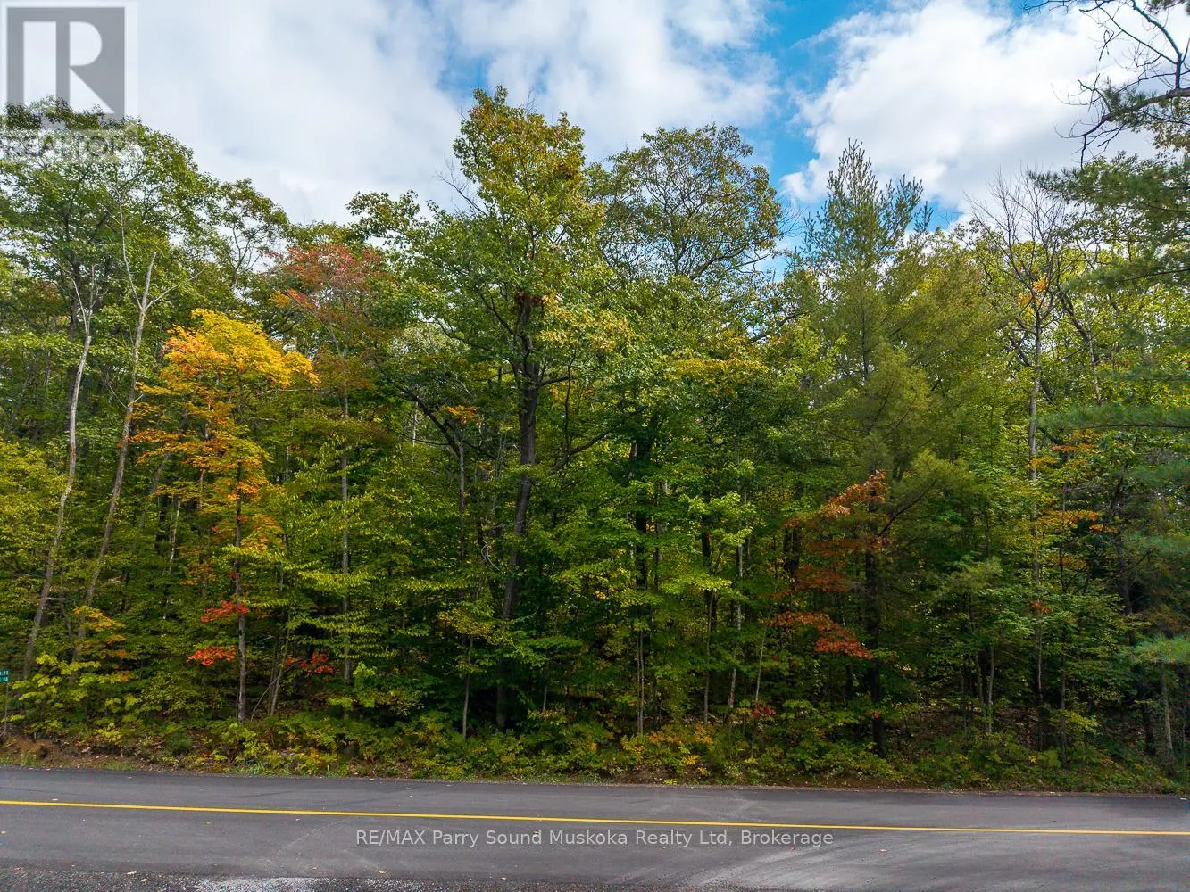 LOT 17 OAKRIDGE ROAD N