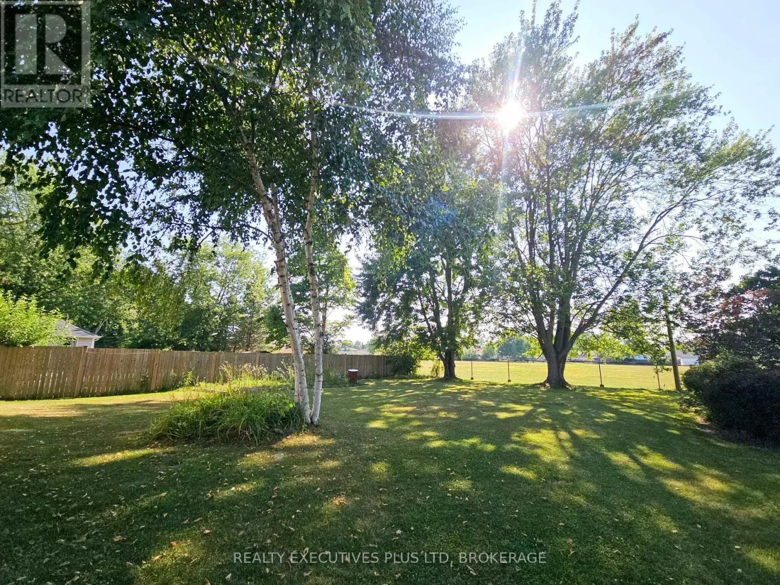 99 CARLTON AVENUE