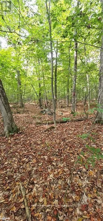 00 SOUTH HORN LAKE ROAD