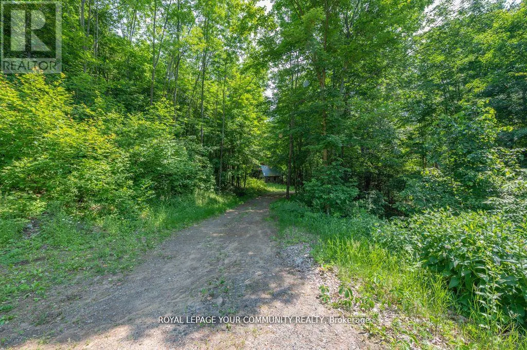 9297 HIGHWAY 118 E