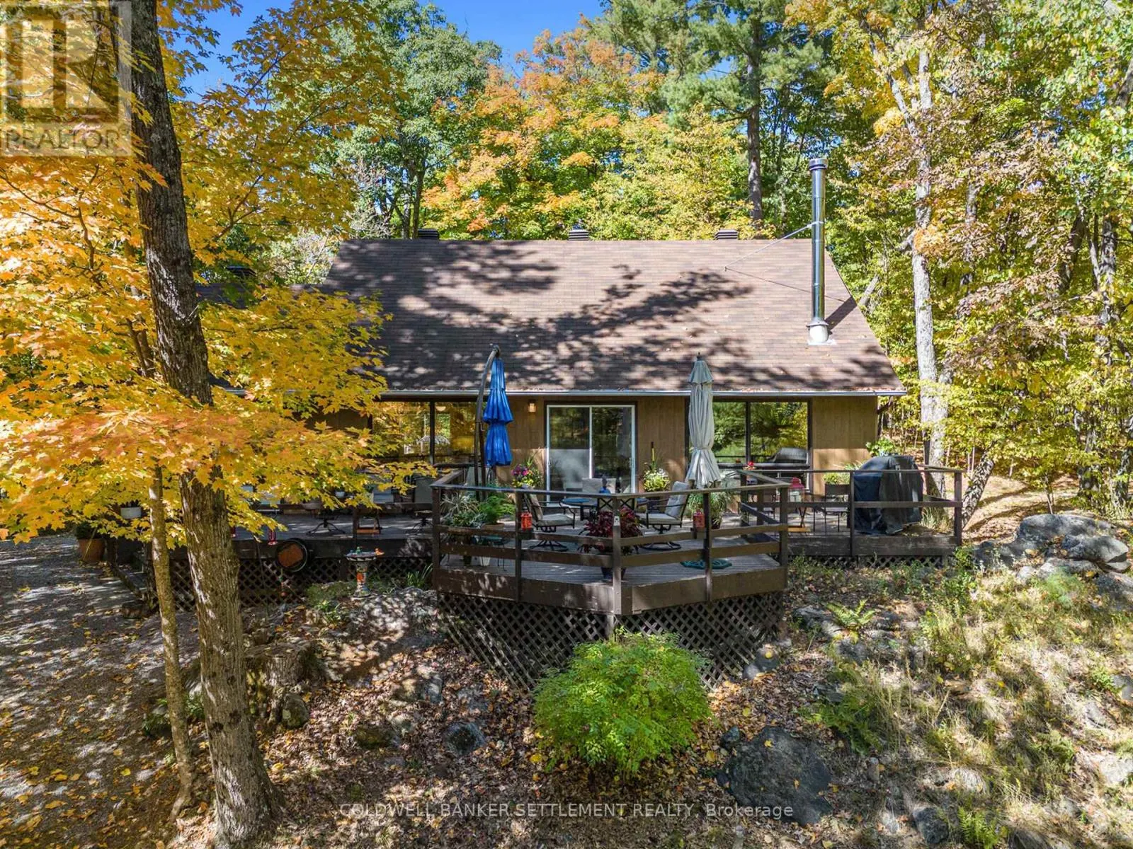 215 SCOTT COURT