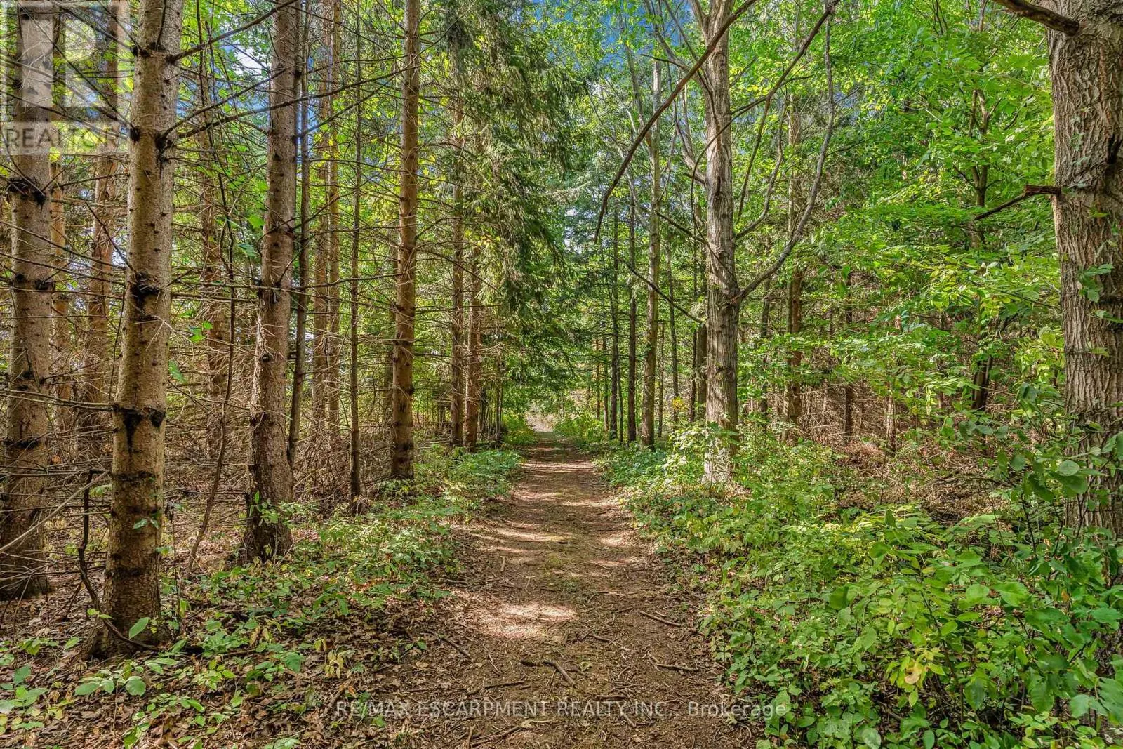 927 WAINFLEET/DUNNVILLE TOWNLINE ROAD