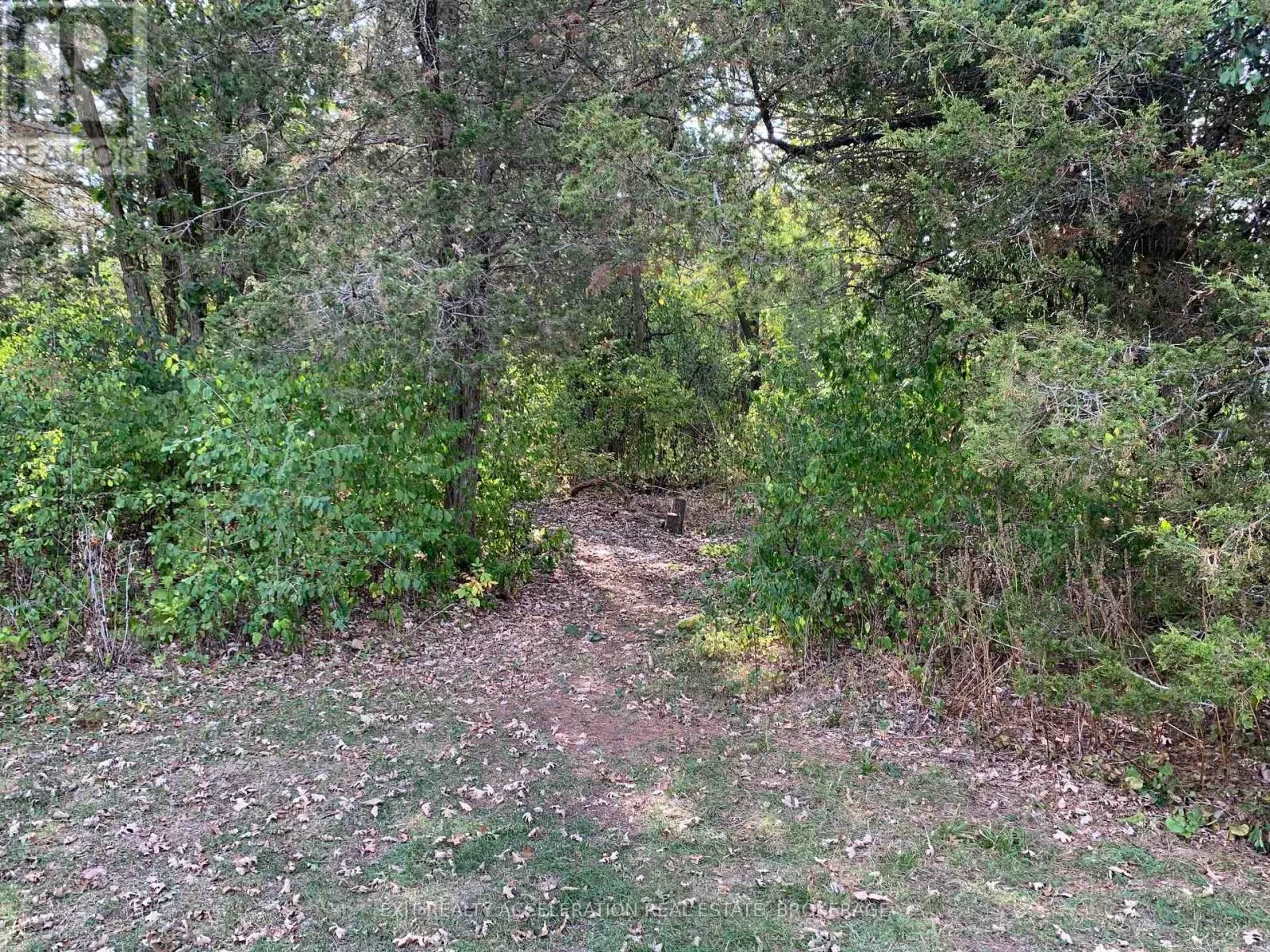 1714 COUNTY RD 9