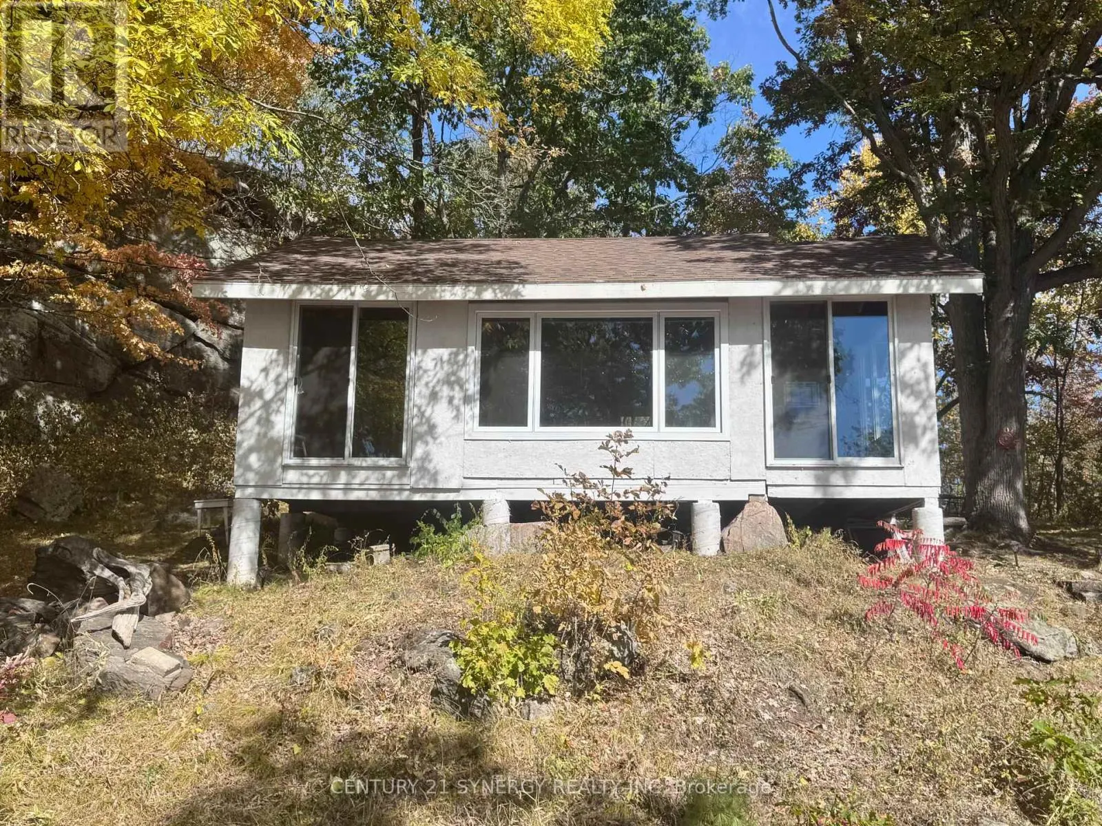 241 BRASH LANE