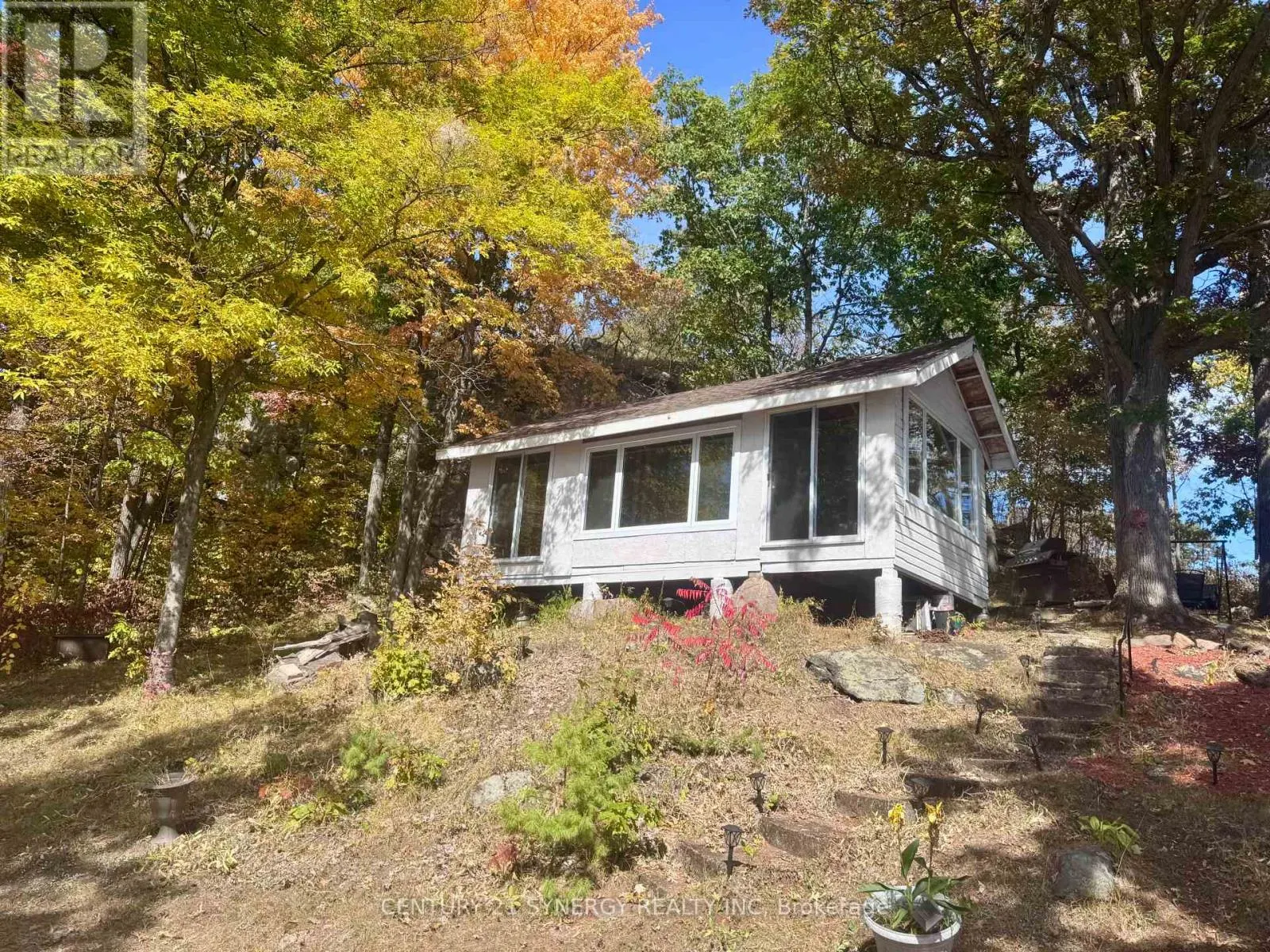 241 BRASH LANE