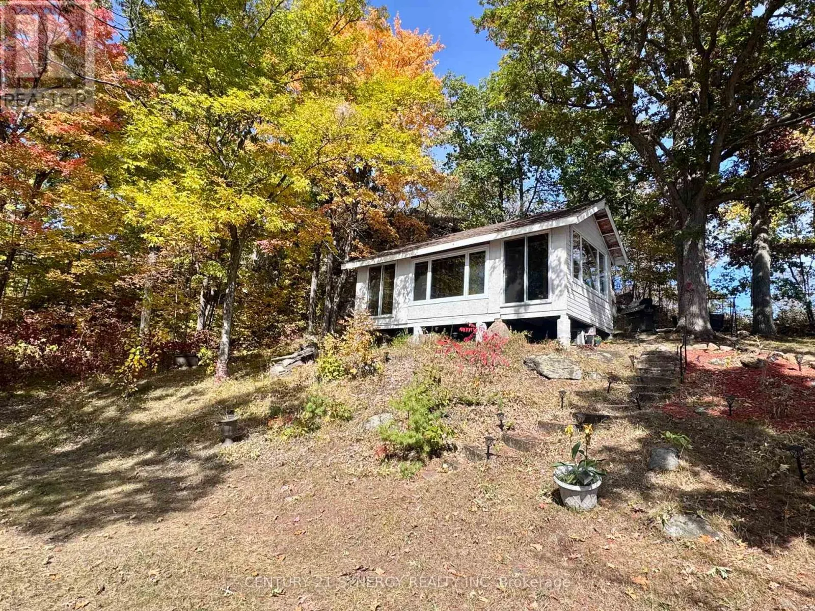 241 BRASH LANE