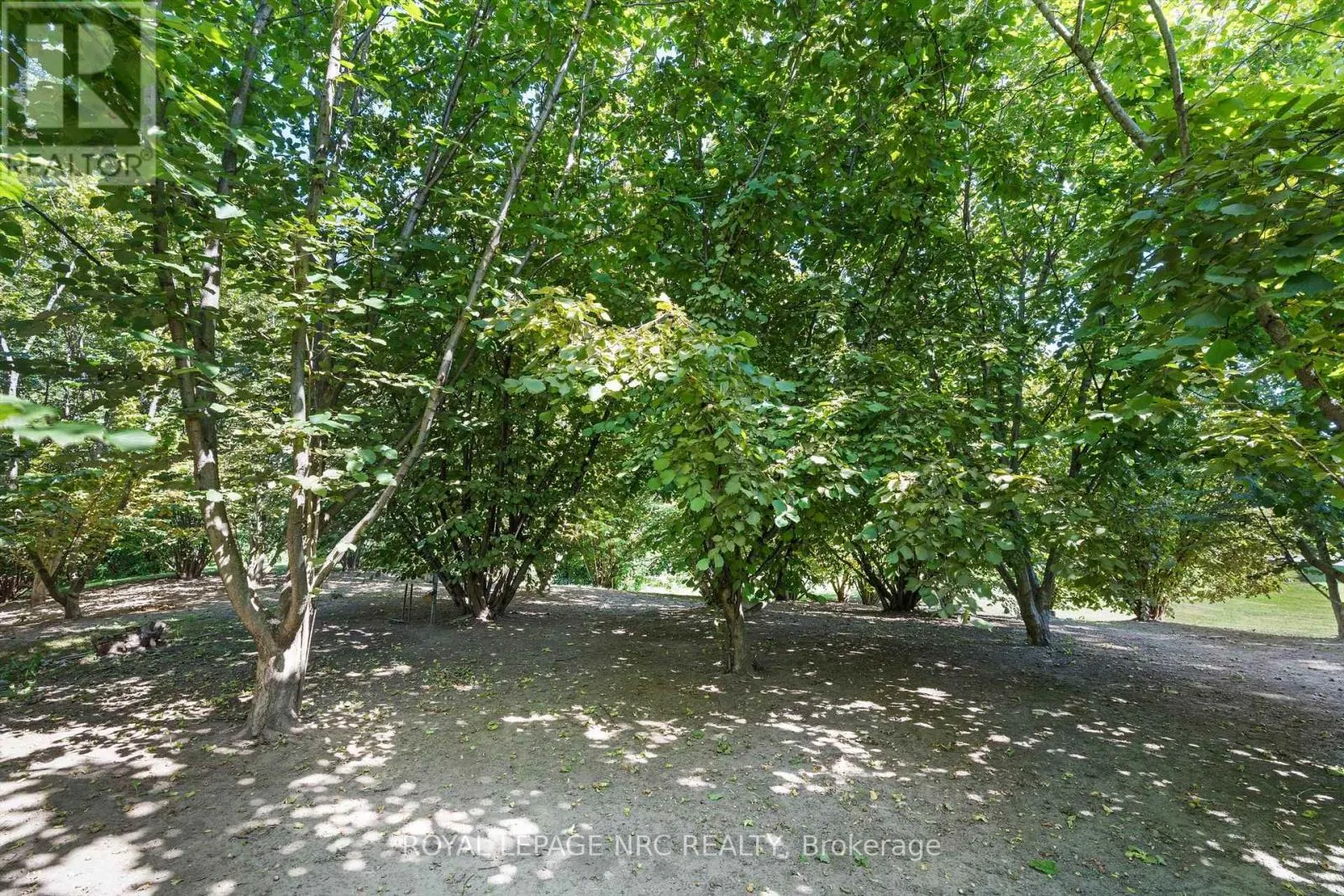 326 LAKESHORE ROAD