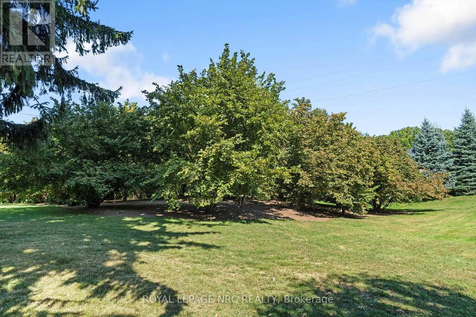 326 LAKESHORE ROAD