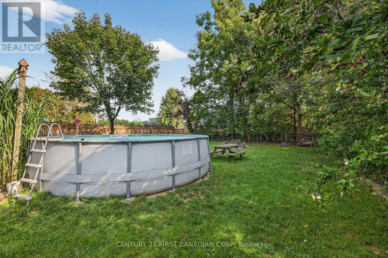 247 RIDOUT STREET