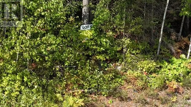 LOT 9 FOX RUN DRIVE