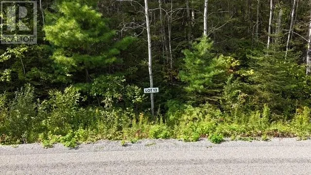 LOT 12 FOX RUN DRIVE