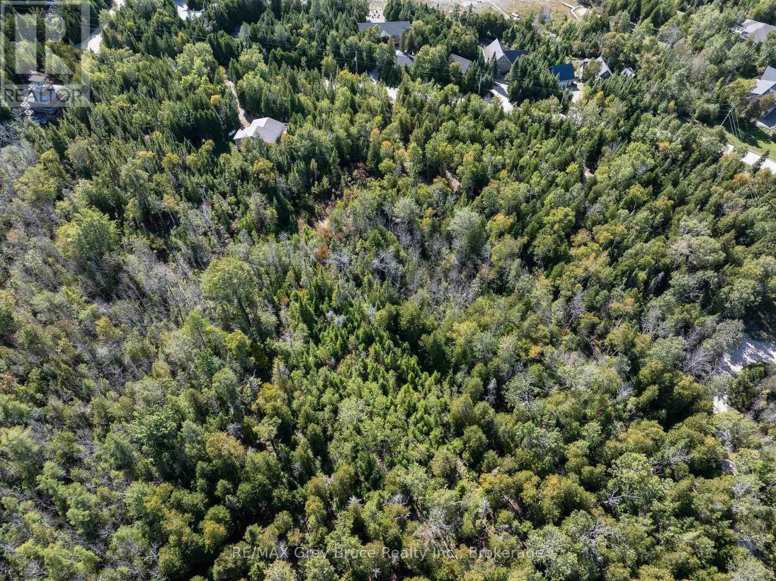 PART 2 DEVILS GLEN