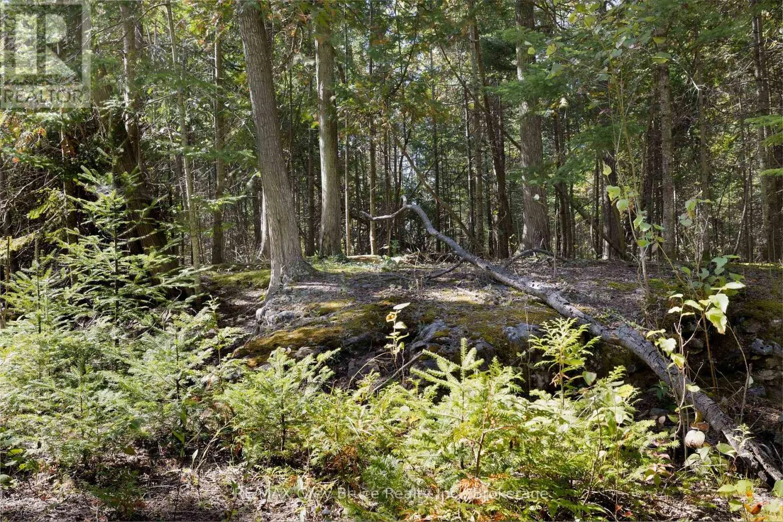 PART 2 DEVILS GLEN