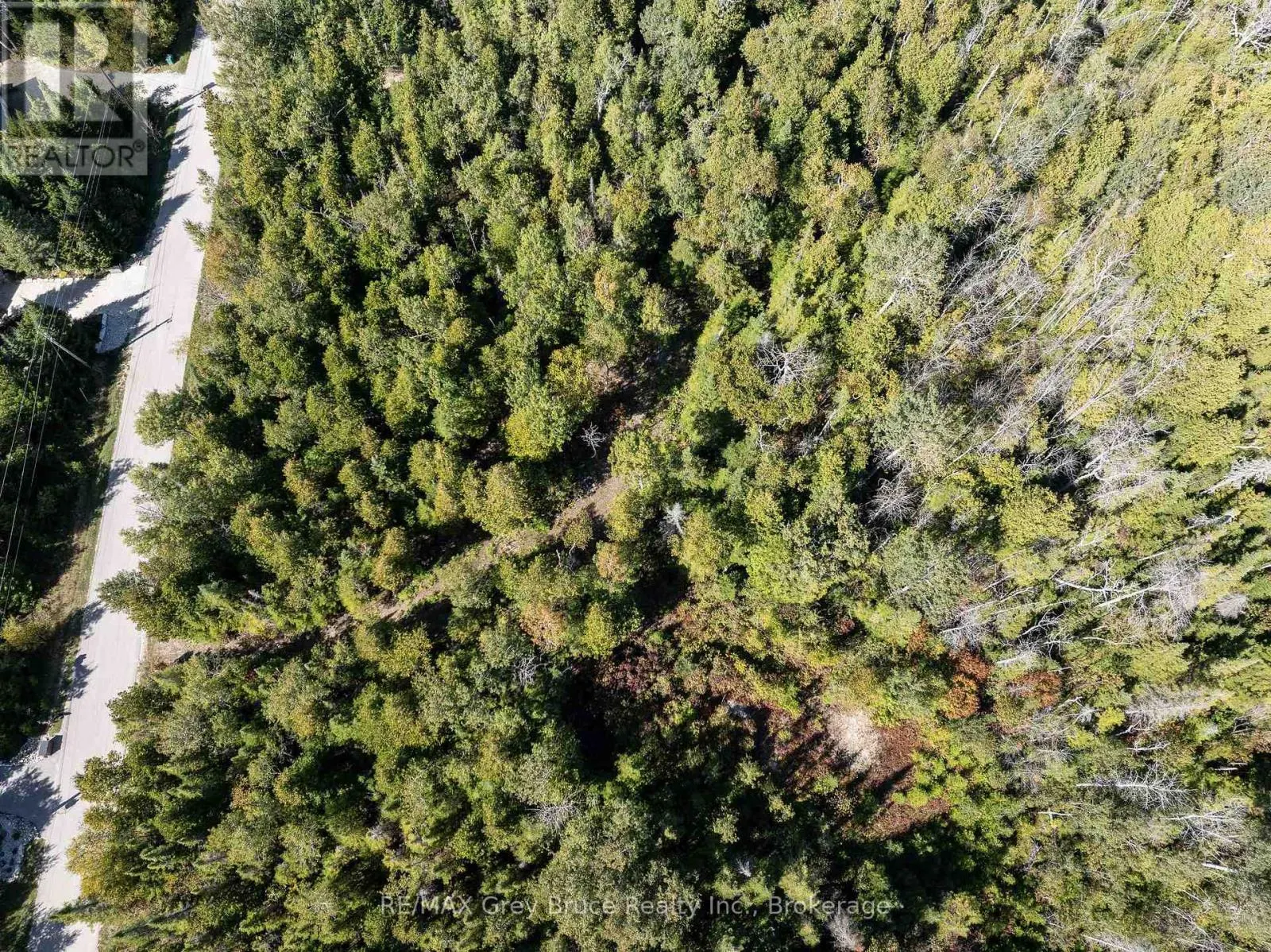 PART 2 DEVILS GLEN