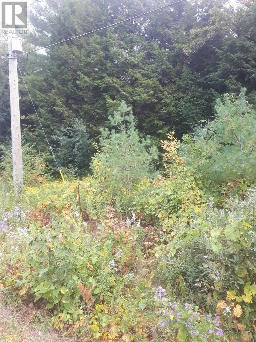 001 LOT 2 CONC 7