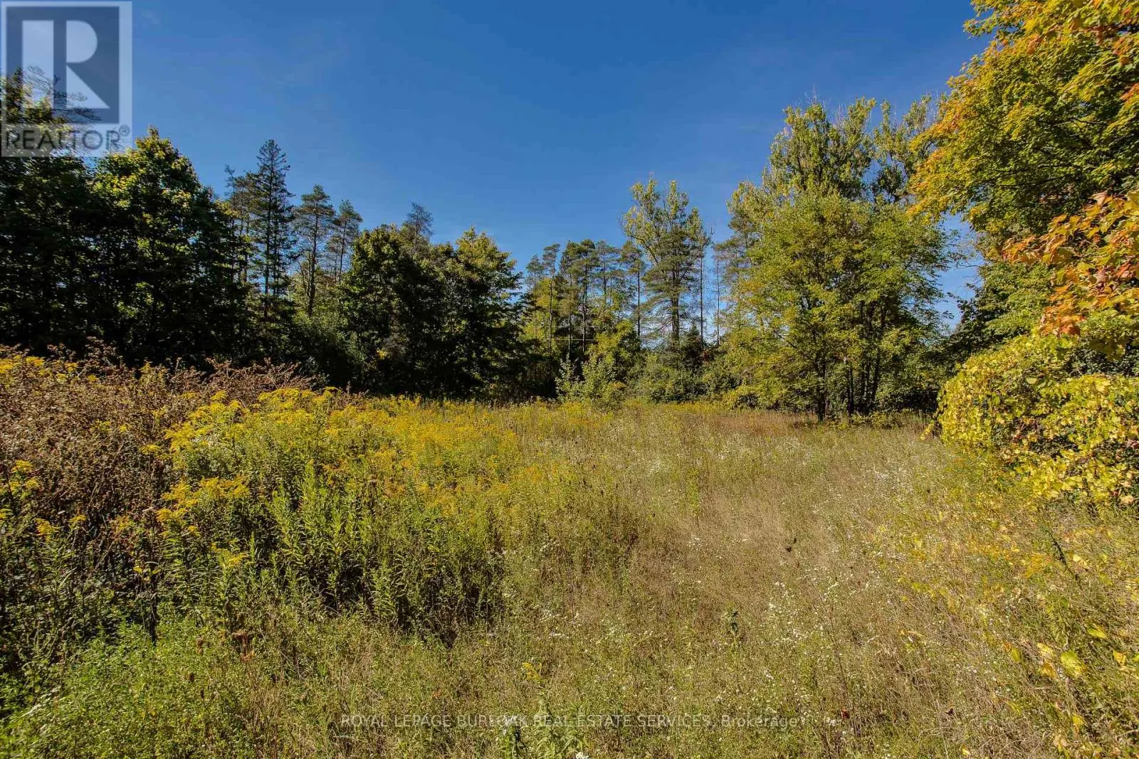 4871 WELLINGTON ROAD 29