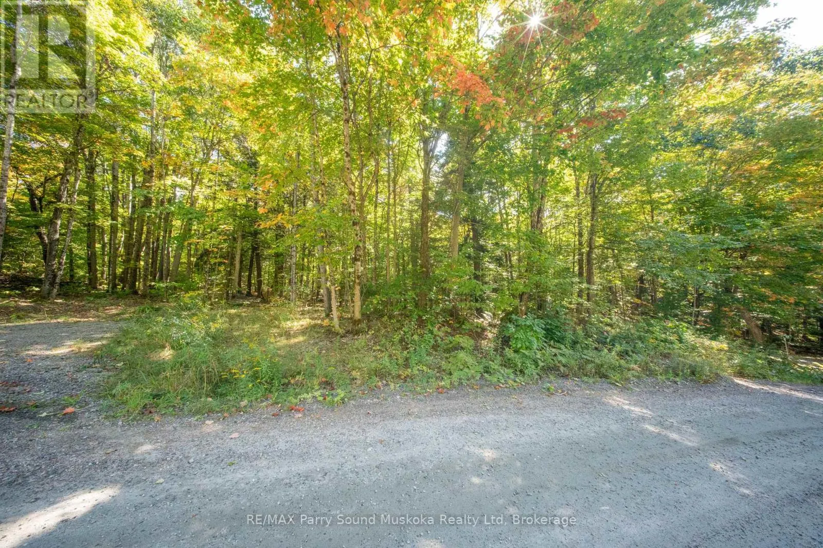 72 MCCAULEY ROAD