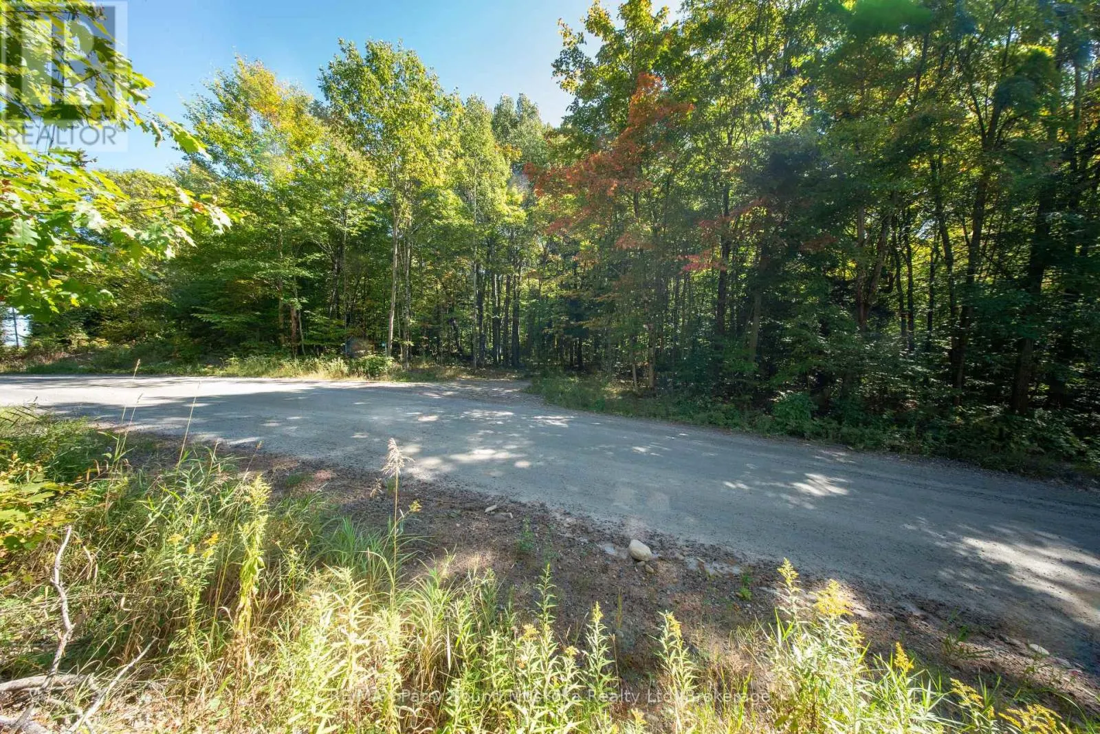 72 MCCAULEY ROAD
