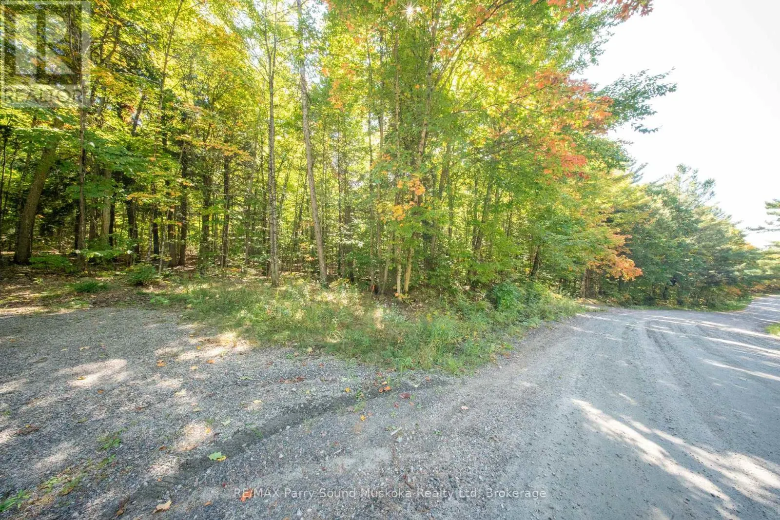 72 MCCAULEY ROAD