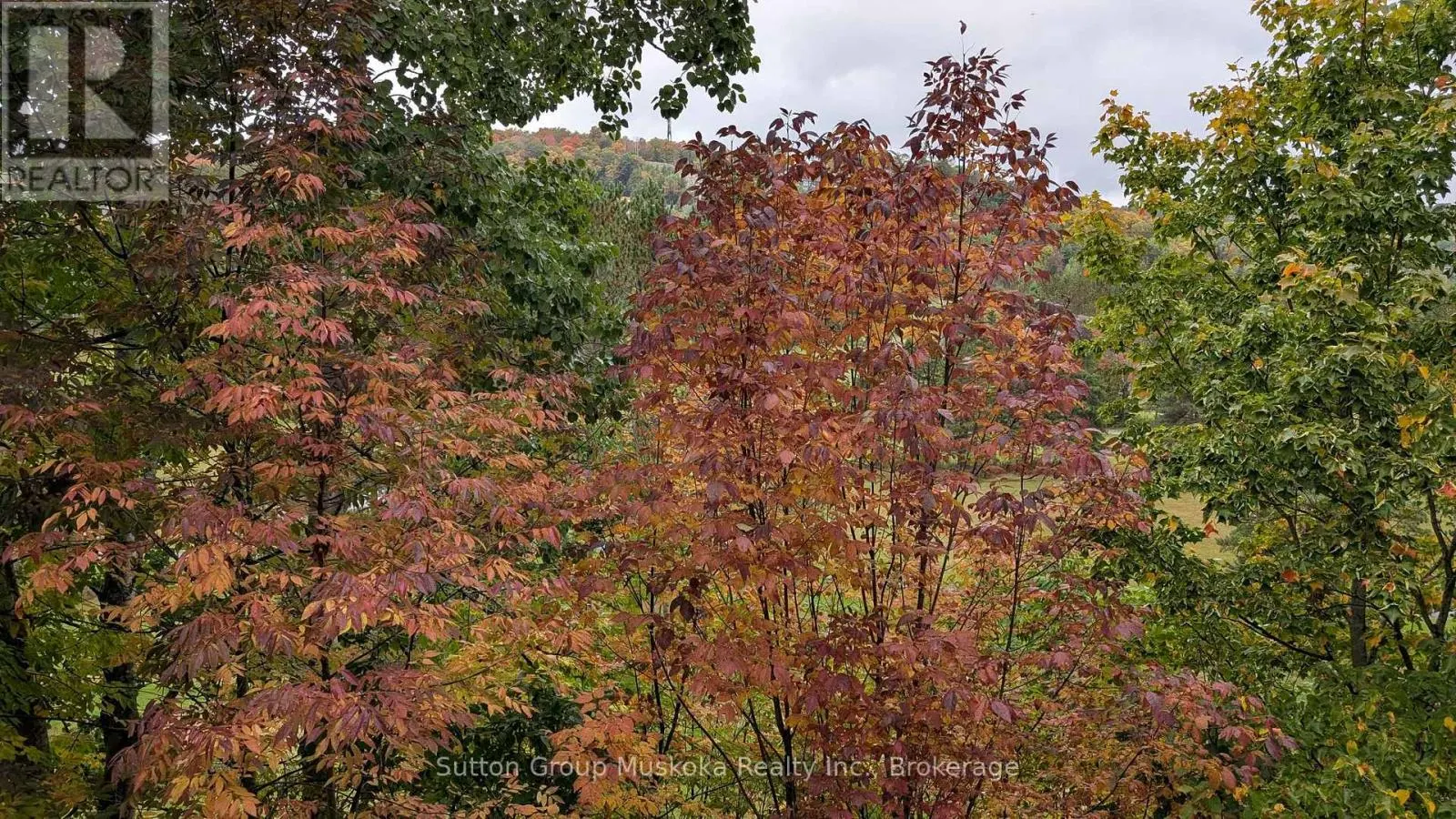 27-202 GOLFVIEW - DEERHURST RESORT DRIVE