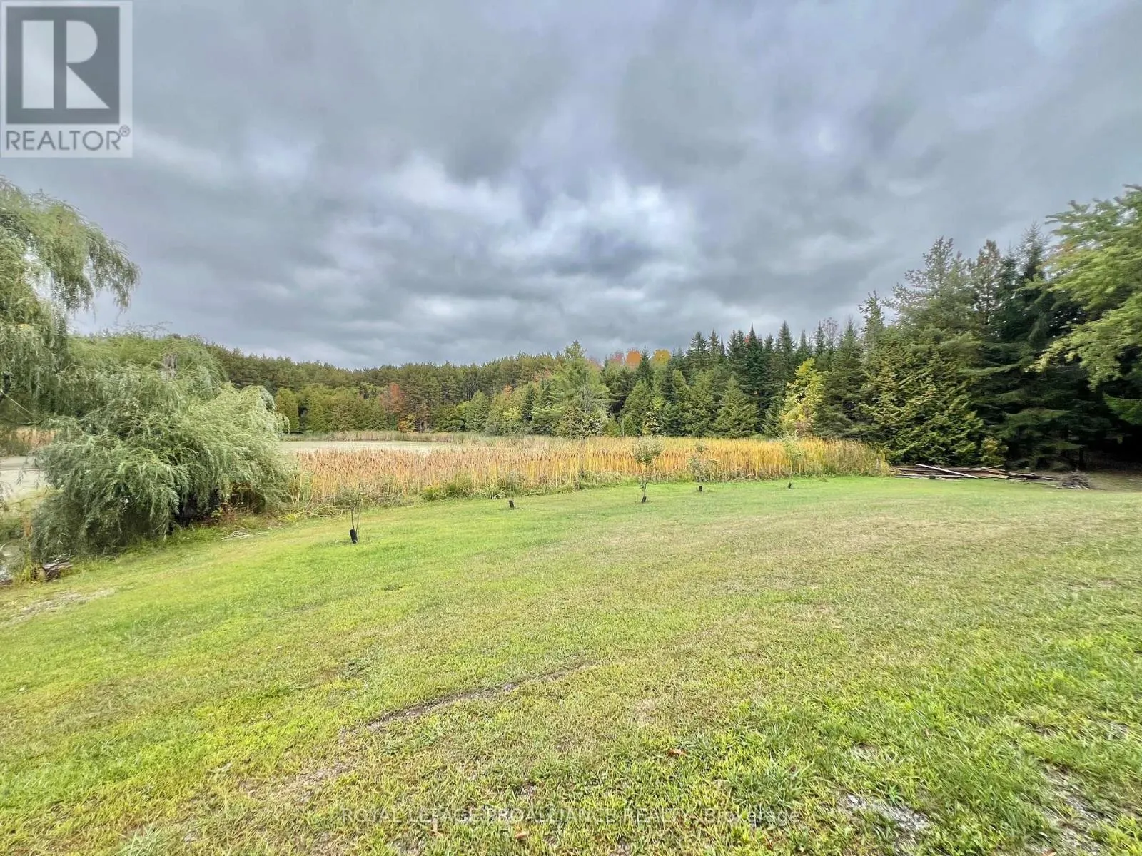 16124 HIGHWAY 62