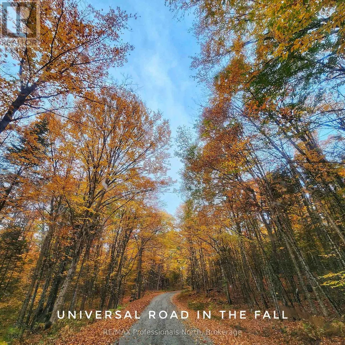 1129 UNIVERSAL ROAD