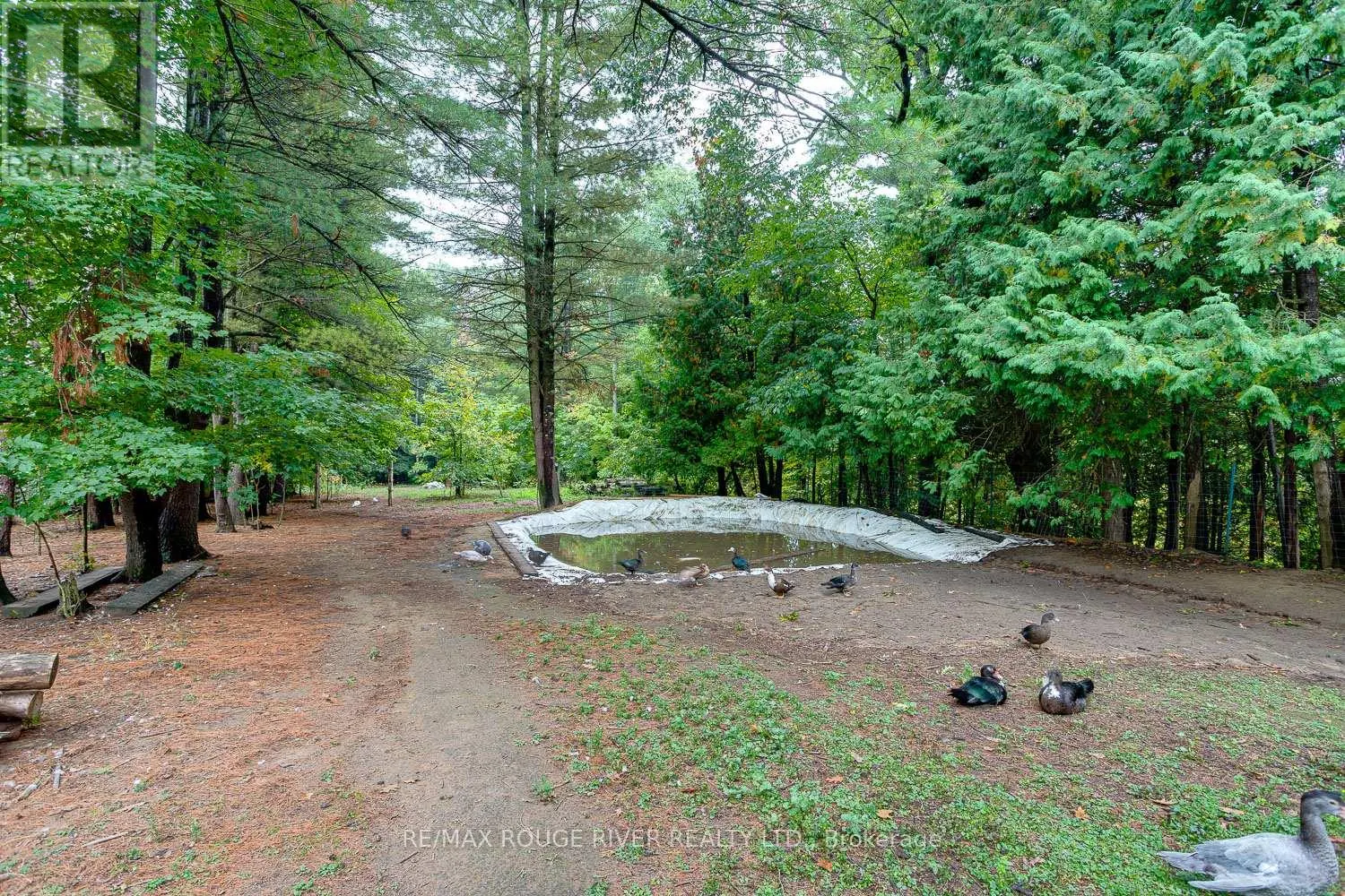 843 EDDYSTONE ROAD