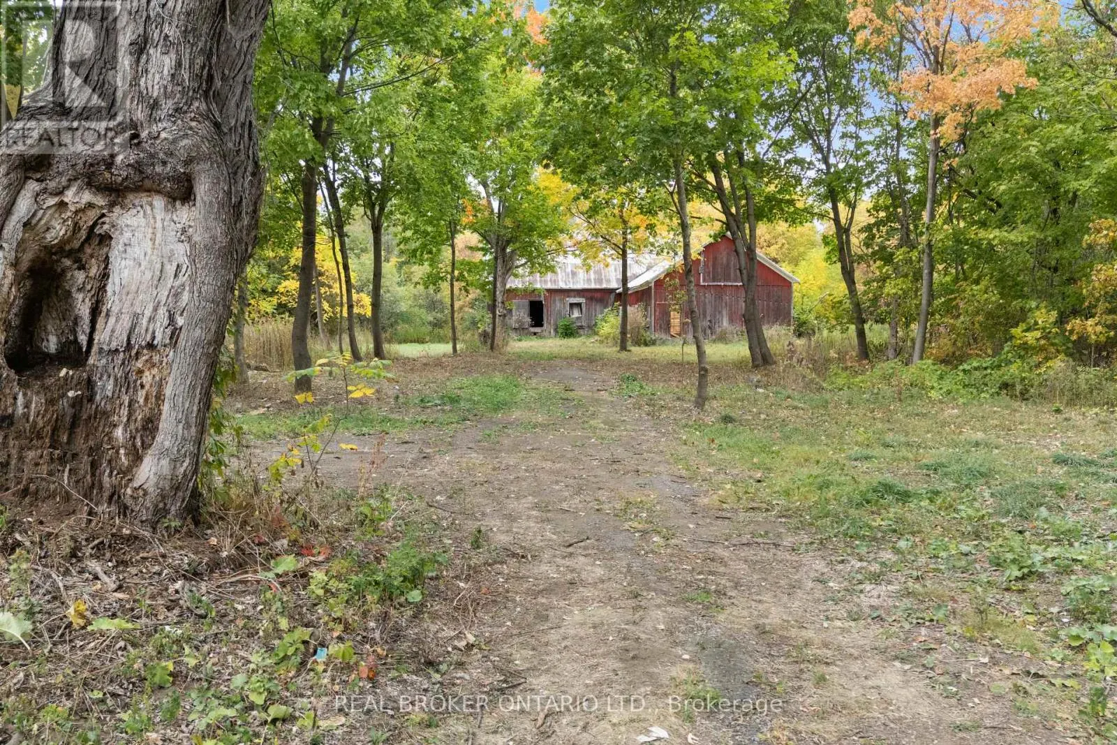 2099 COUNTY  20 ROAD