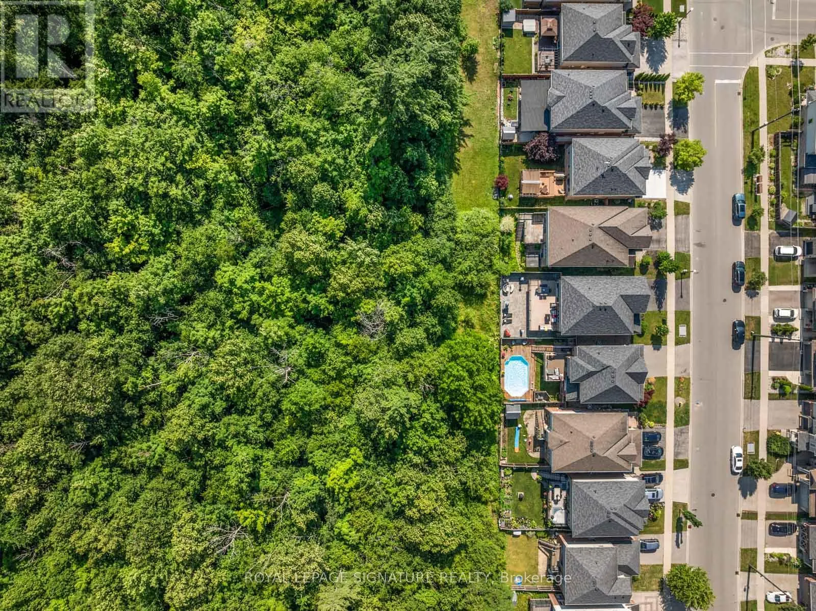 704 ROBERT FERRIE DRIVE