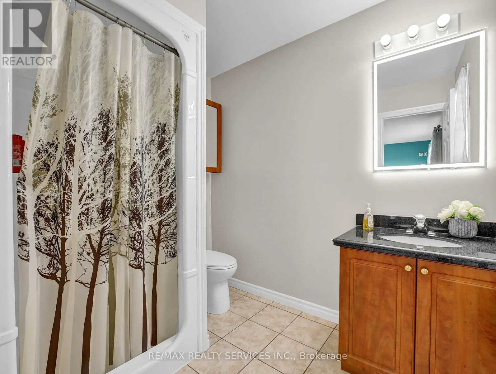 11 WILLOWRIDGE WAY