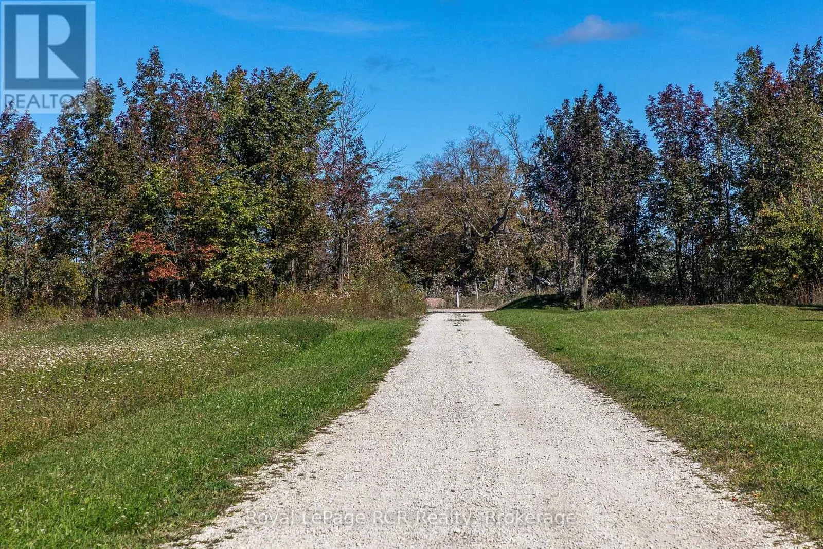 1037 PURPLE VALLEY ROAD