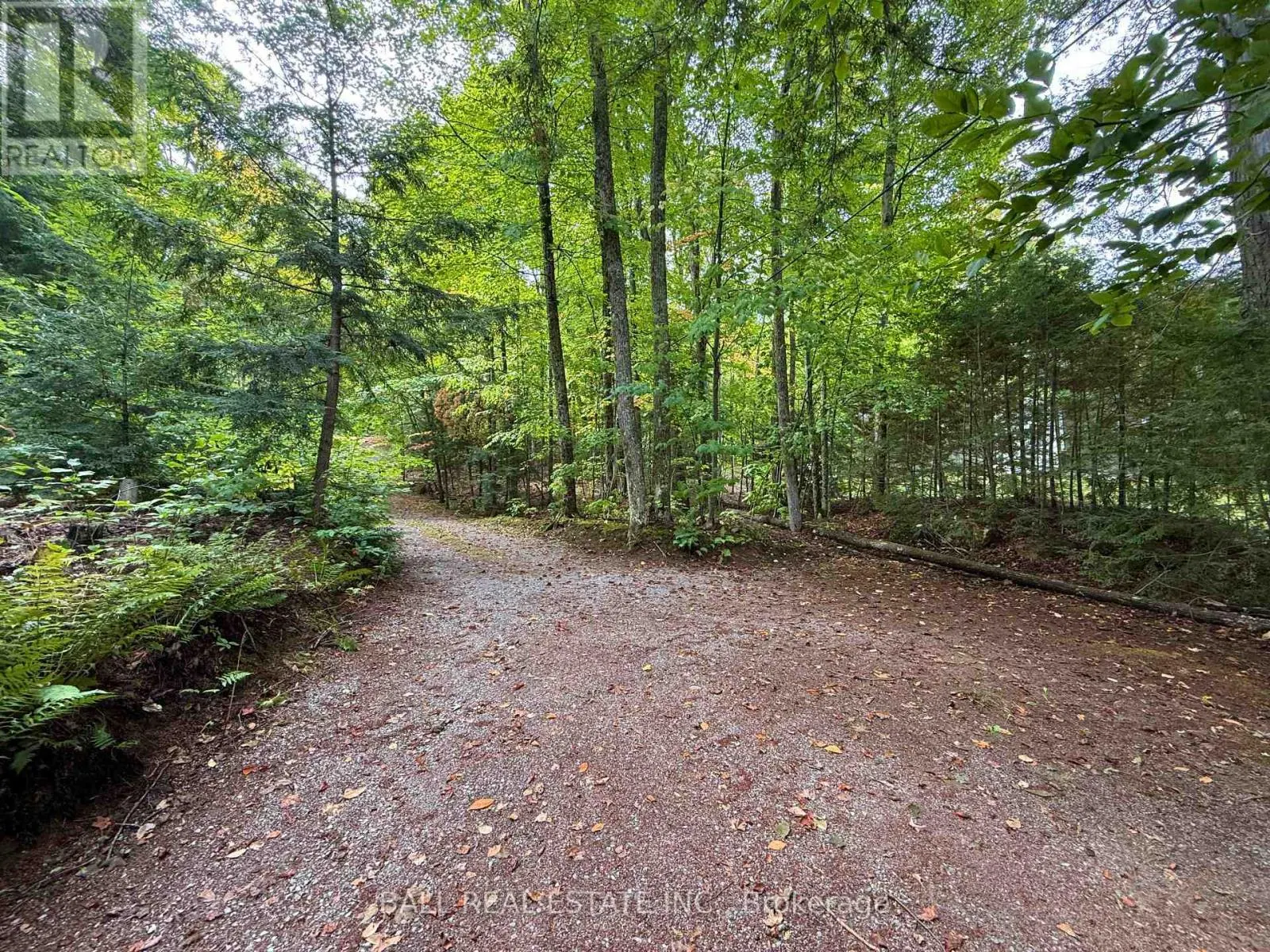 551 RENWICK ROAD