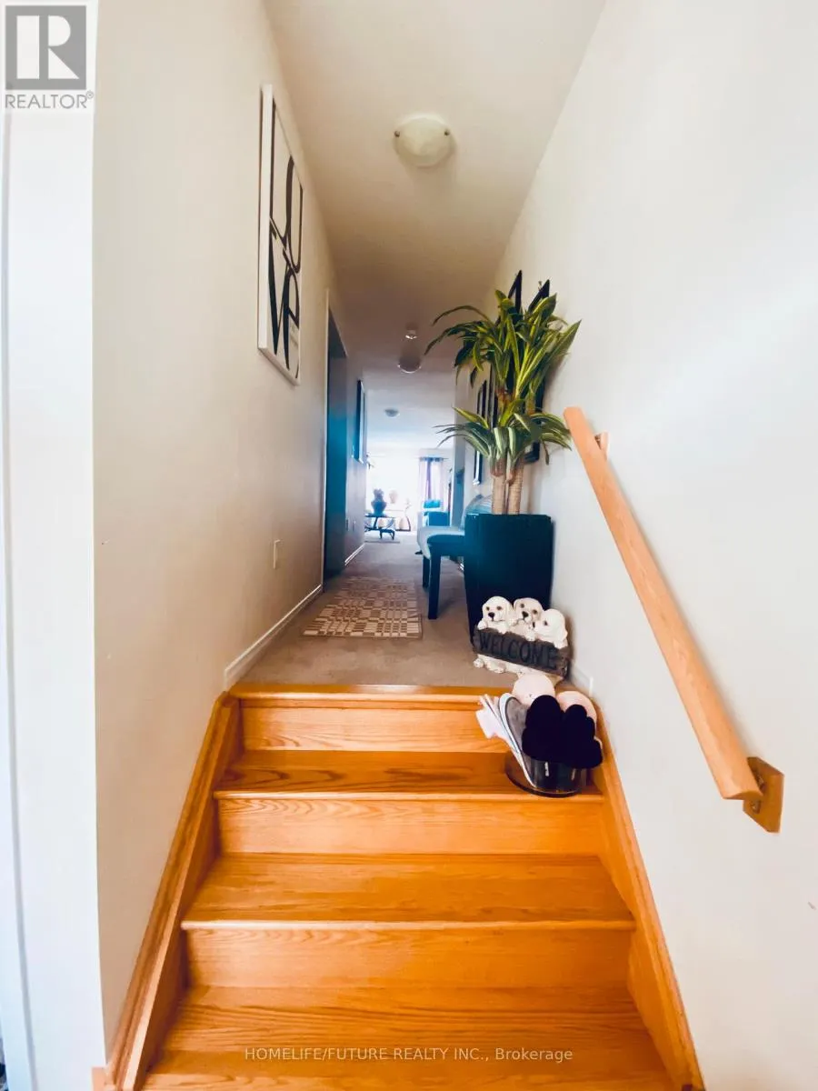 35 DOREEN DRIVE