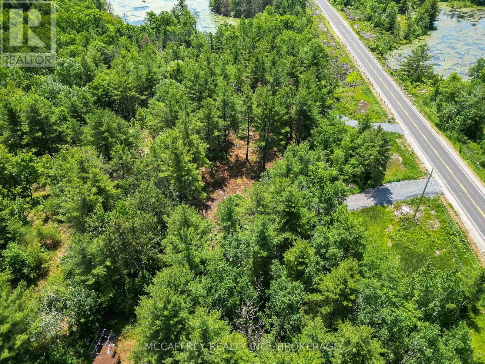 9804 HIGHWAY 38