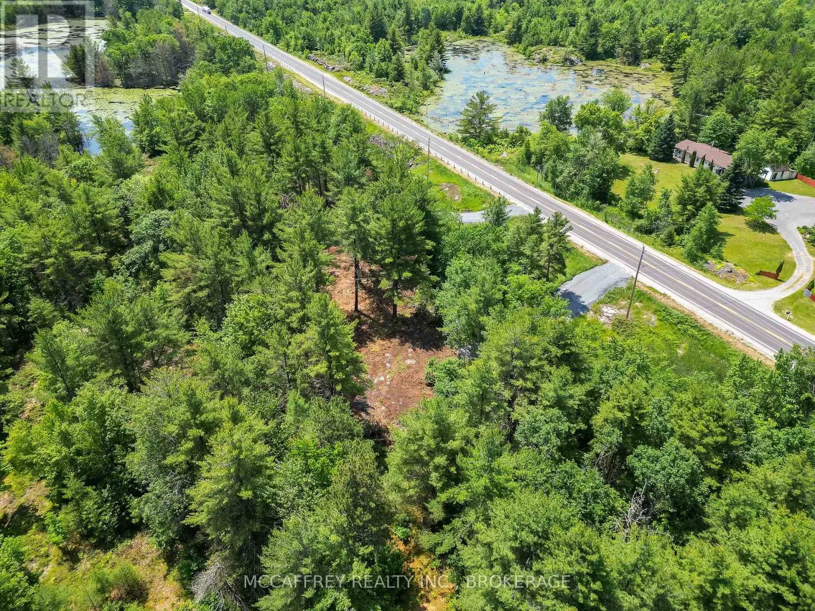 9804 HIGHWAY 38