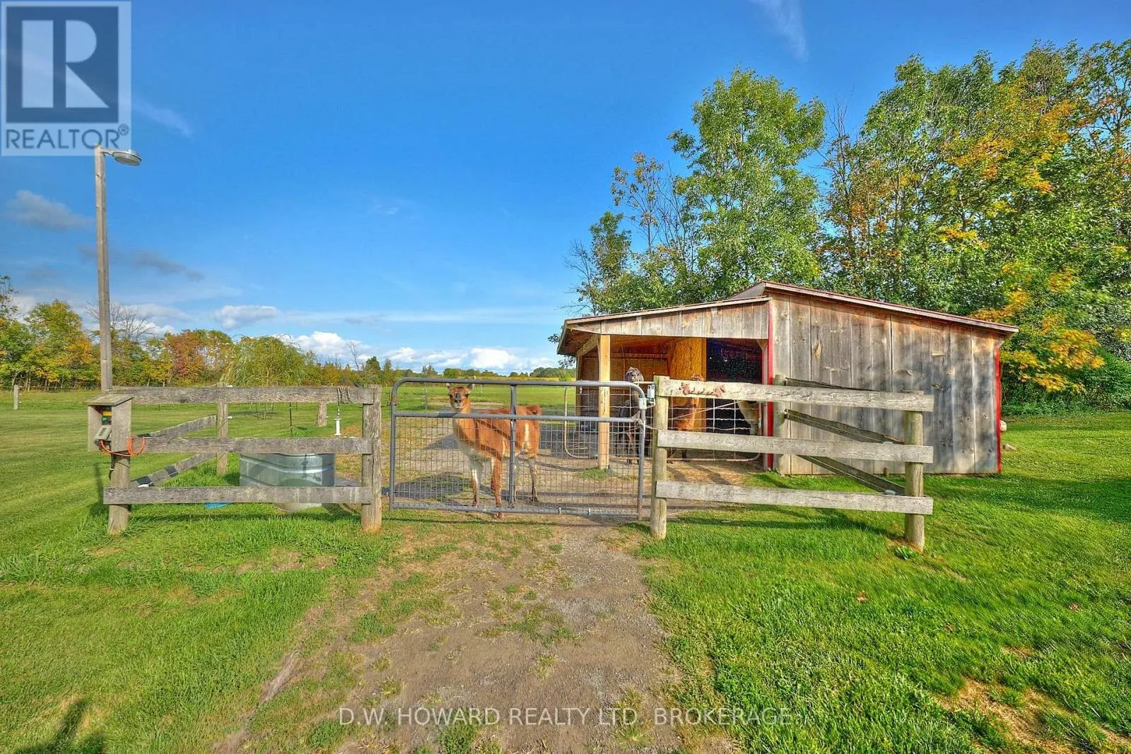2264 SHISLER ROAD