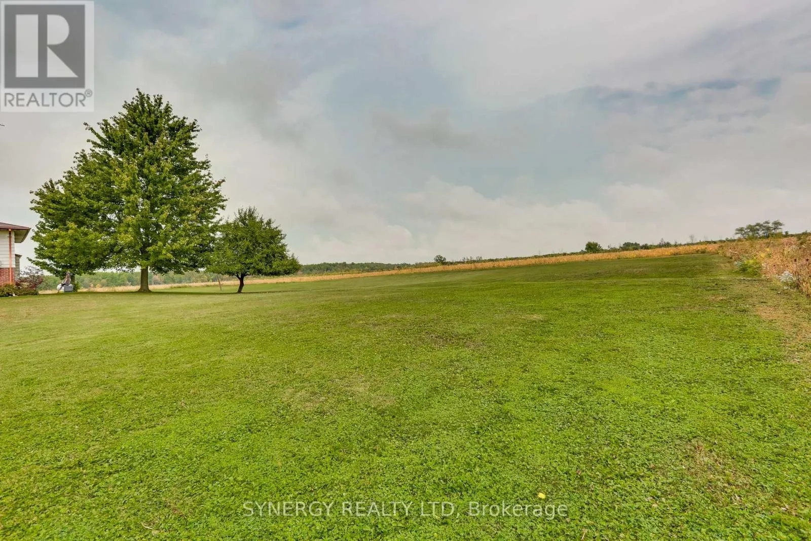 3830 WHITE PINE ROAD