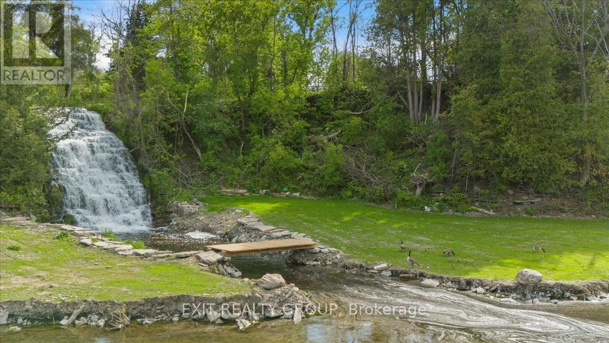 782 COUNTY ROAD 49