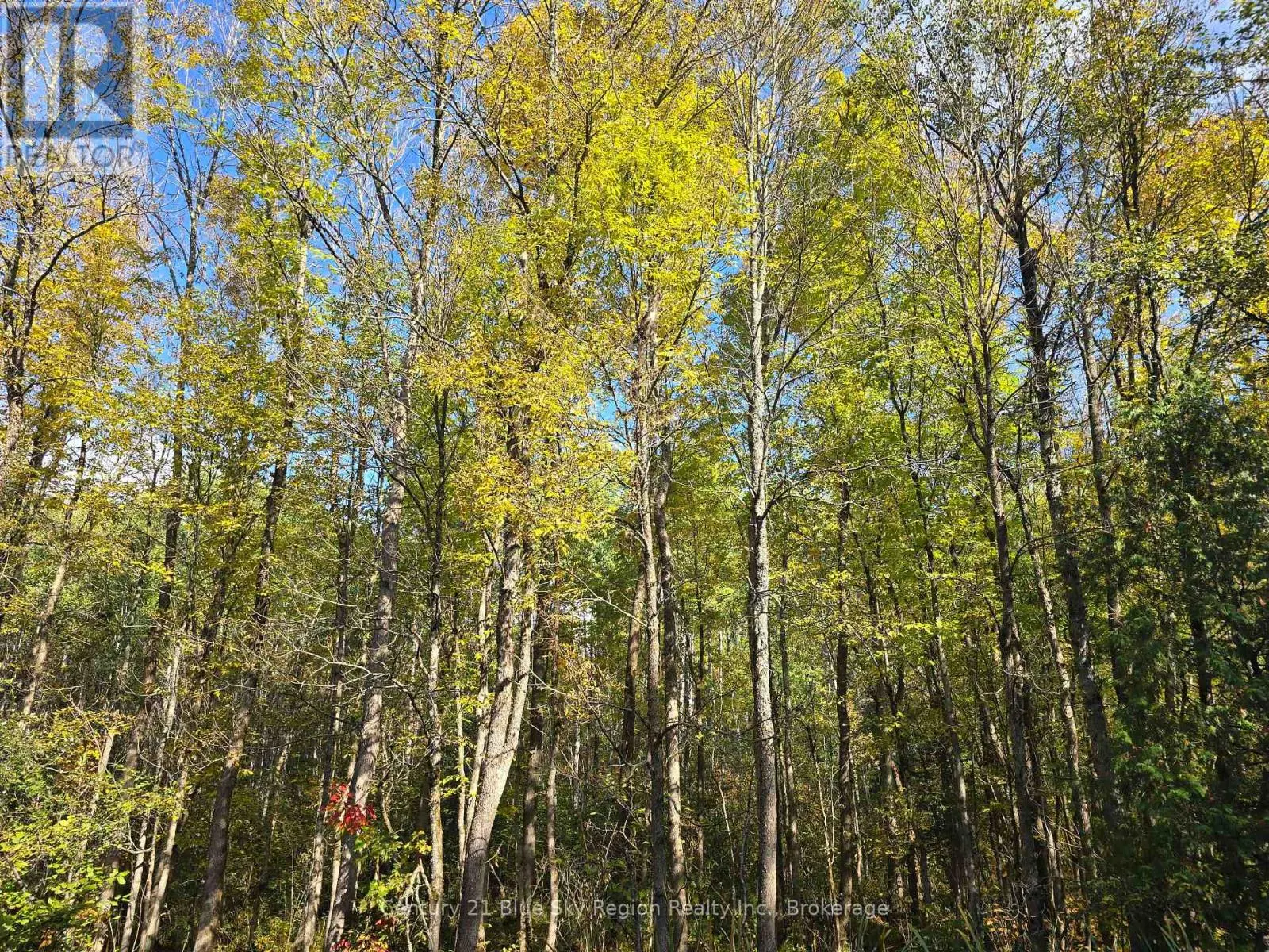 LOT 5 CON 3 GUILLEMETTE ROAD
