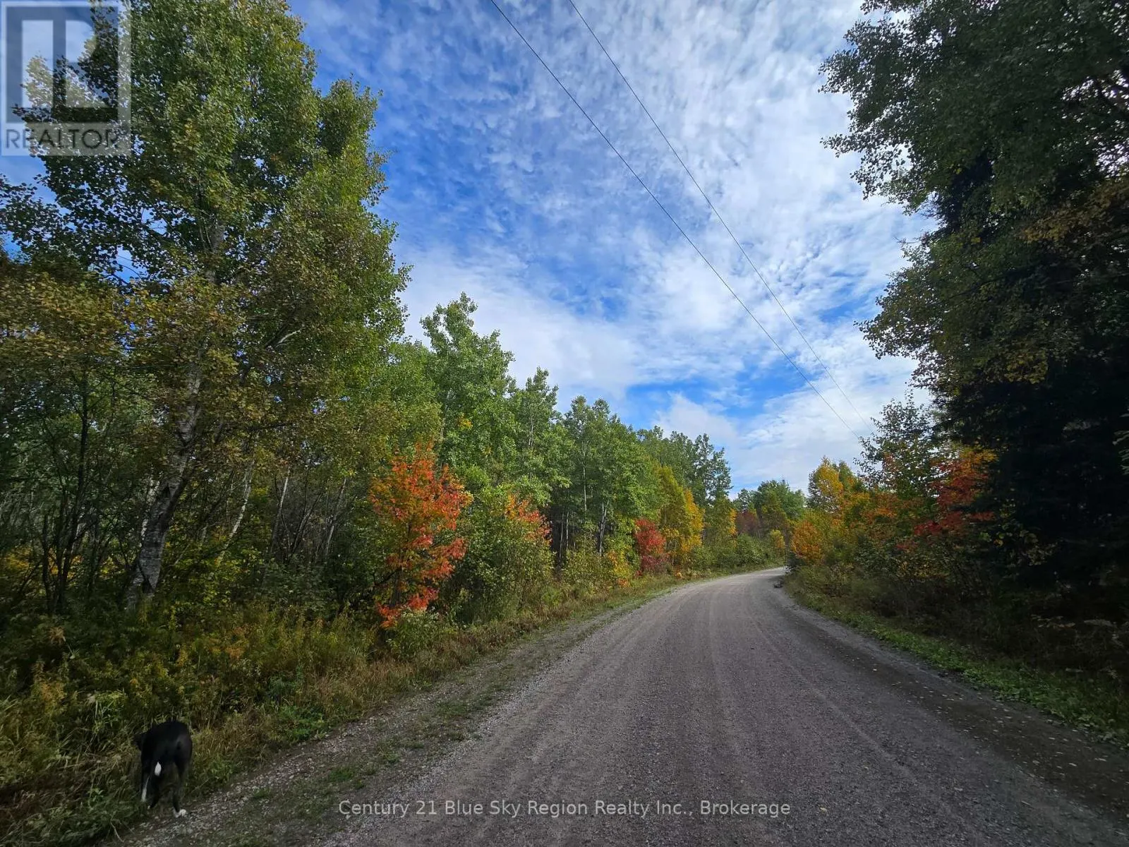 LOT 5 CON 3 GUILLEMETTE ROAD