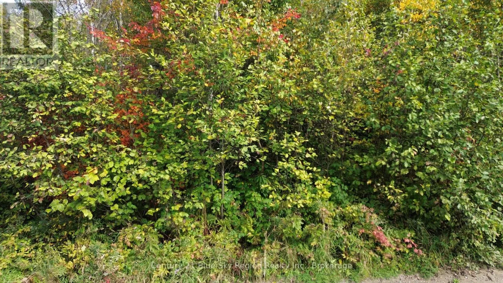 LOT 5 CON 3 GUILLEMETTE ROAD