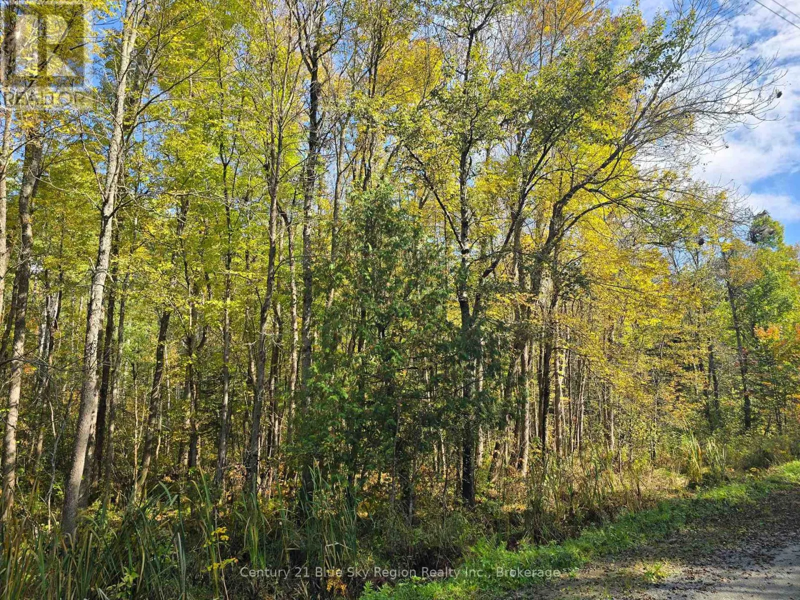 LOT 5 CON 3 GUILLEMETTE ROAD