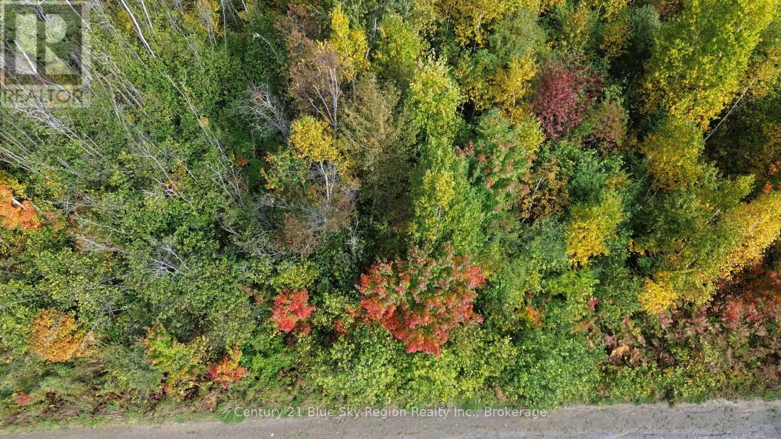 LOT 5 CON 3 GUILLEMETTE ROAD