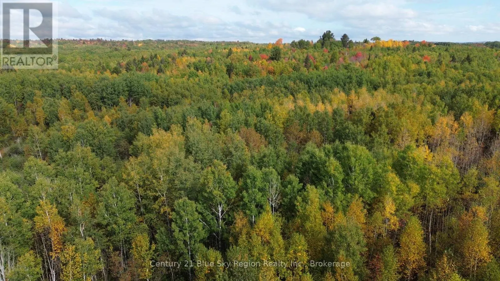 LOT 5 CON 3 GUILLEMETTE ROAD