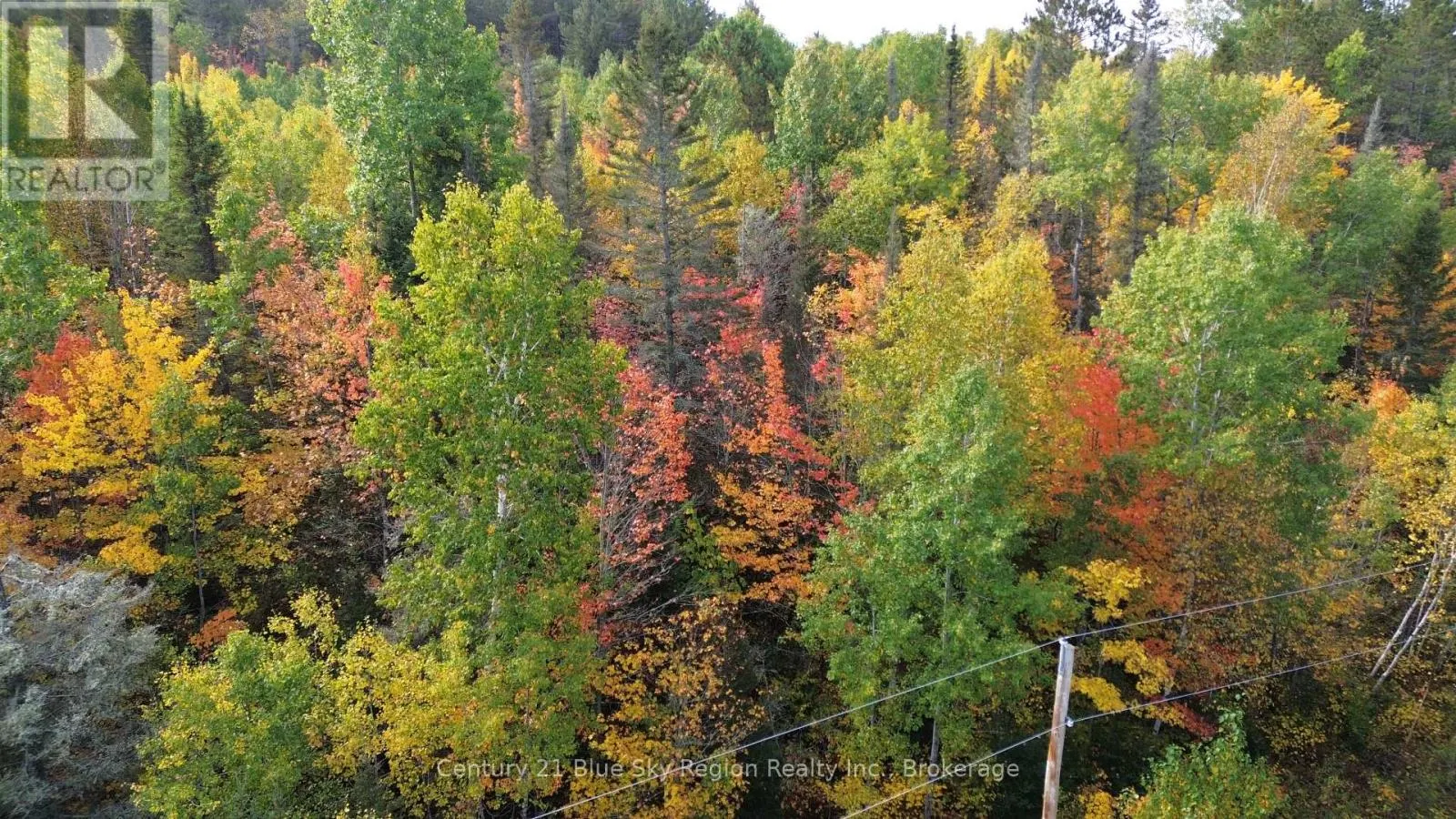 LOT 5 CON 3 GUILLEMETTE ROAD